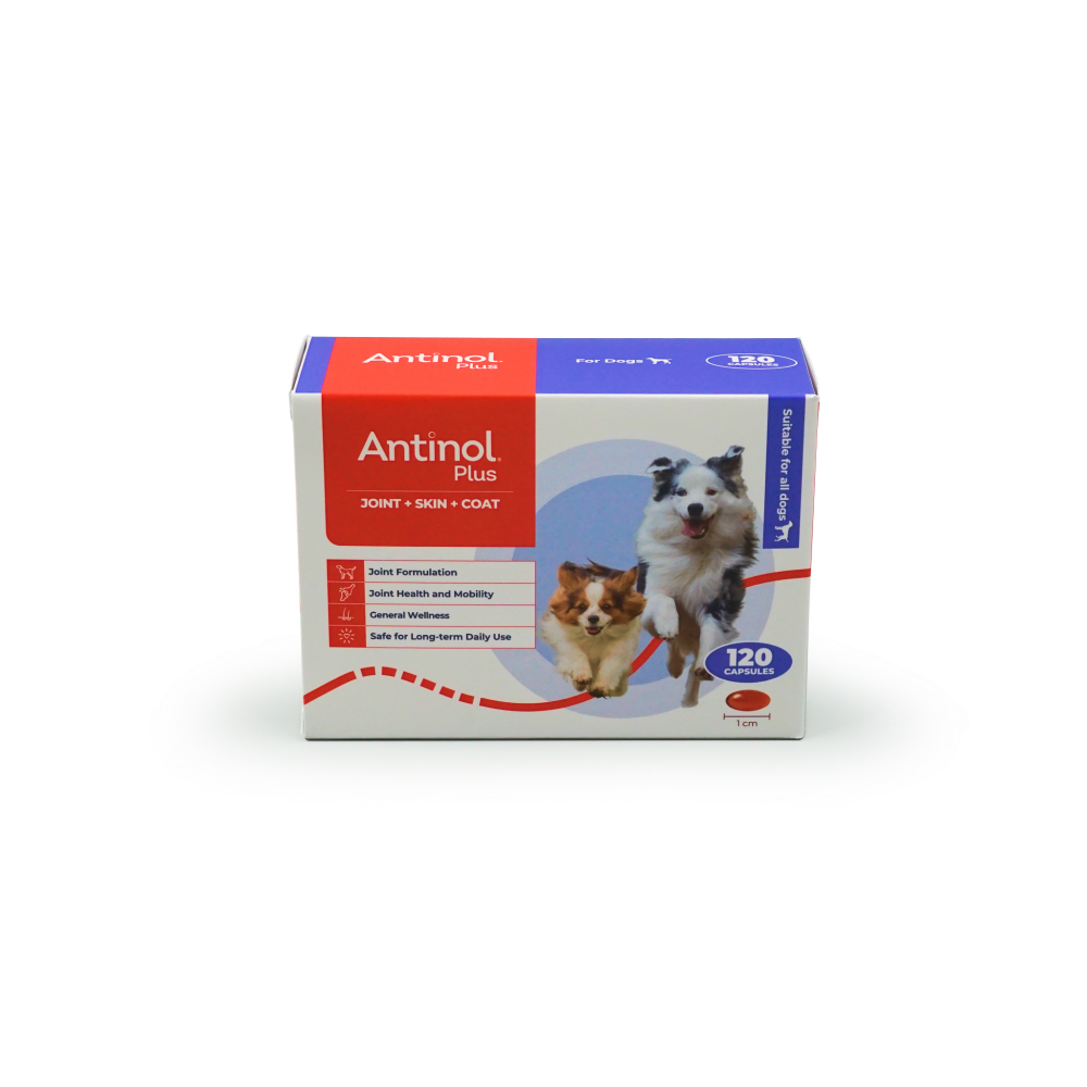 Antinol Plus For Dogs - 120 Capsules (Box)