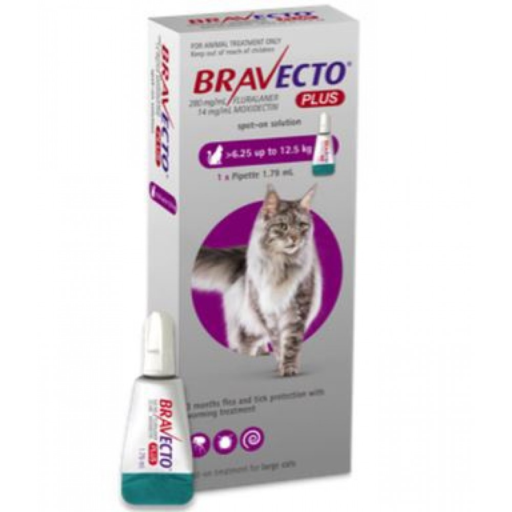 Bravecto Plus Spot-On for Large Cats - 6.2 - 12kg